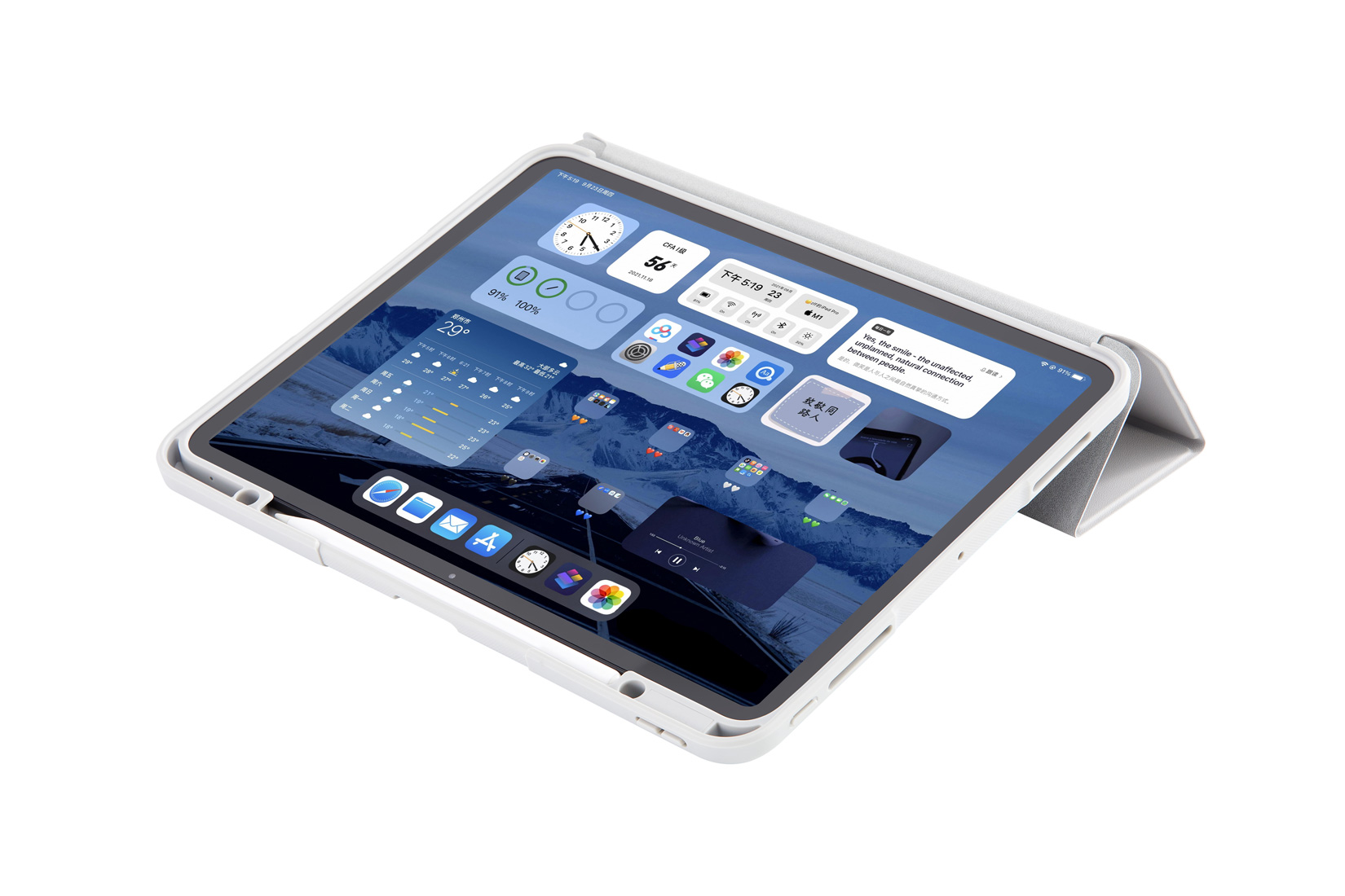 ipad pro cover cases for protection